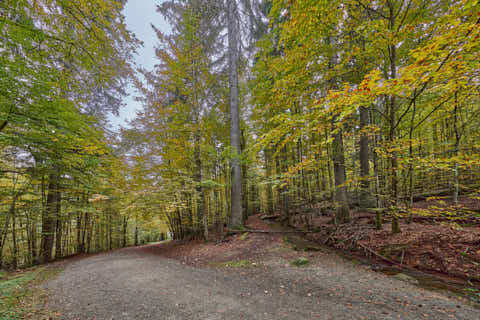 Gemeinde Bayerisch_Eisenstein Landkreis Regen Hans-Watzlik-Hain Wanderweg Kanal (Dirschl Johann) Deutschland REG